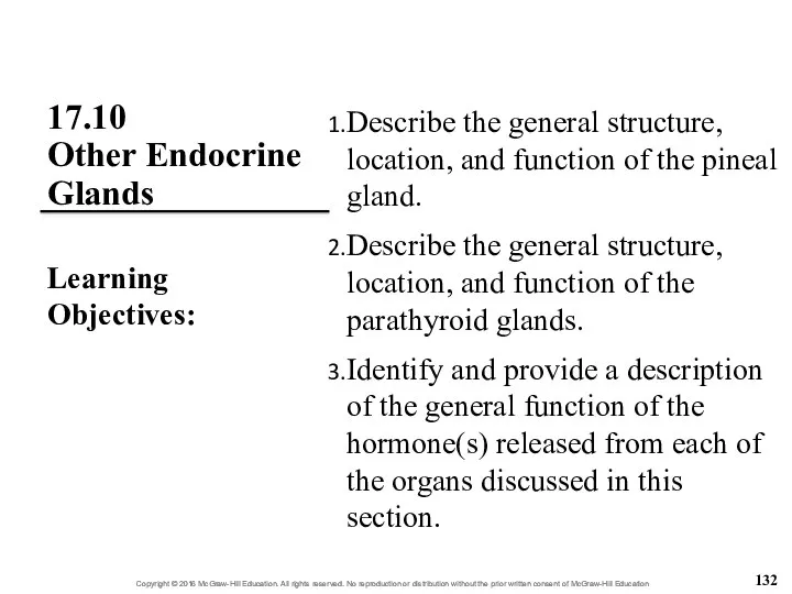 17.10 Other Endocrine Glands Describe the general structure, location, and function