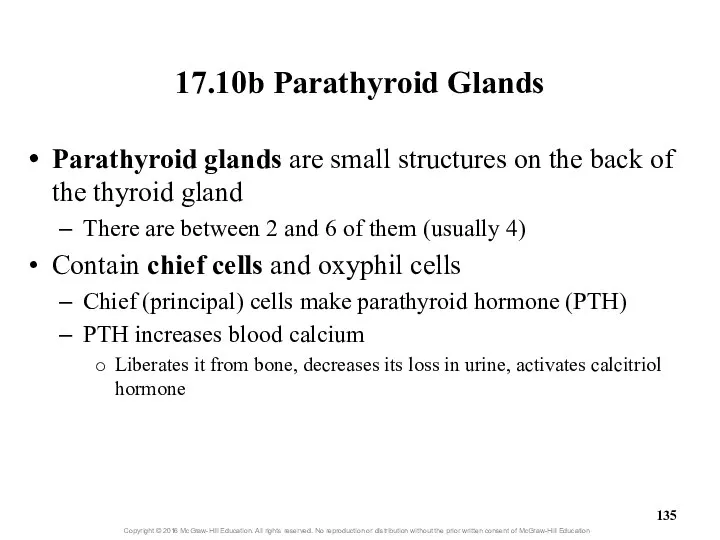 17.10b Parathyroid Glands Parathyroid glands are small structures on the back