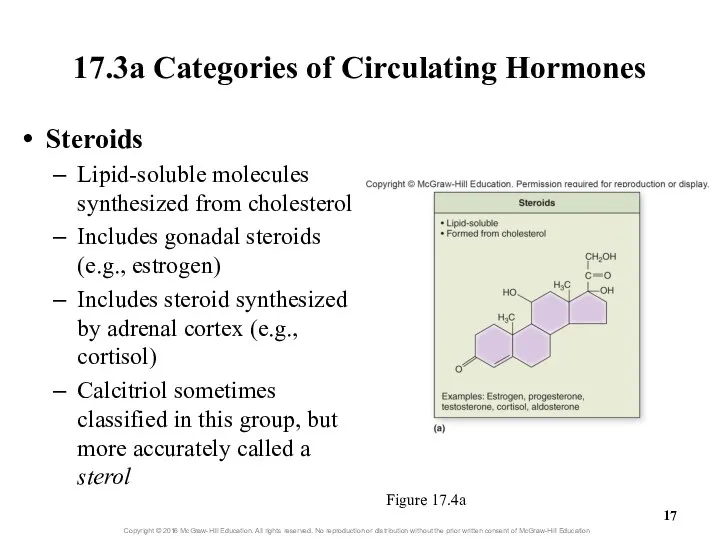 17.3a Categories of Circulating Hormones Figure 17.4a Steroids Lipid-soluble molecules synthesized