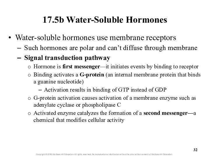 17.5b Water-Soluble Hormones Water-soluble hormones use membrane receptors Such hormones are