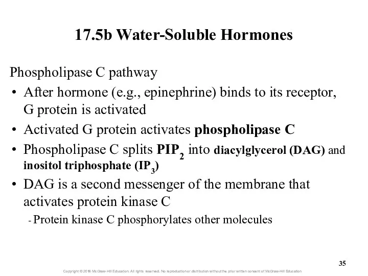 17.5b Water-Soluble Hormones Phospholipase C pathway After hormone (e.g., epinephrine) binds