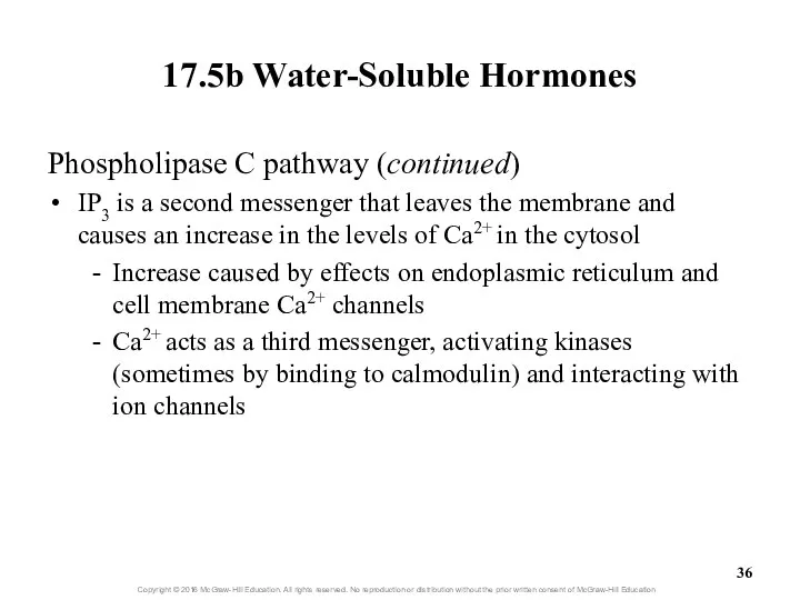 17.5b Water-Soluble Hormones Phospholipase C pathway (continued) IP3 is a second