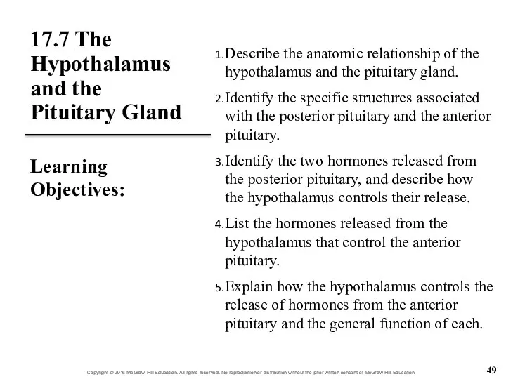 17.7 The Hypothalamus and the Pituitary Gland Describe the anatomic relationship