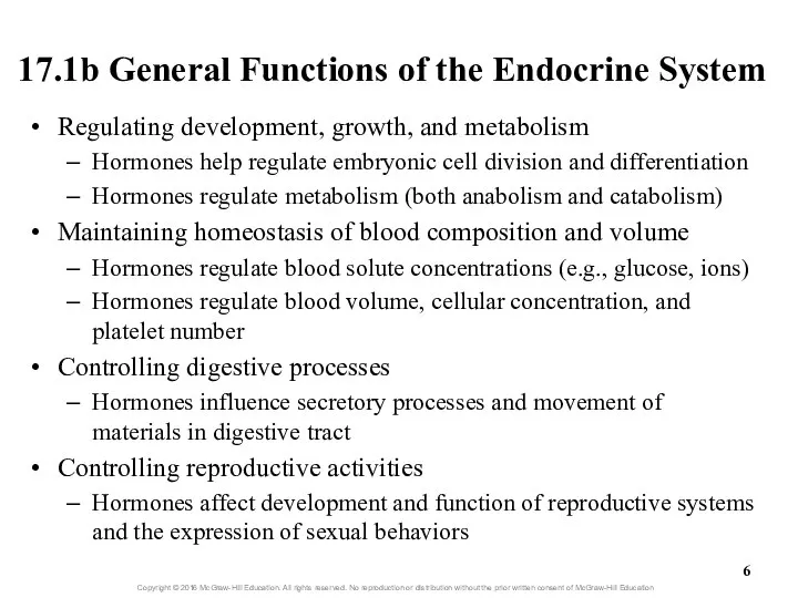 17.1b General Functions of the Endocrine System Regulating development, growth, and