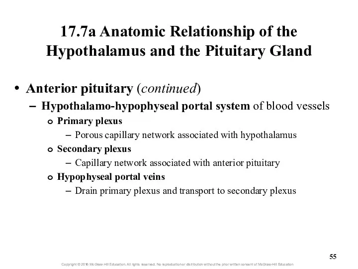 17.7a Anatomic Relationship of the Hypothalamus and the Pituitary Gland Anterior