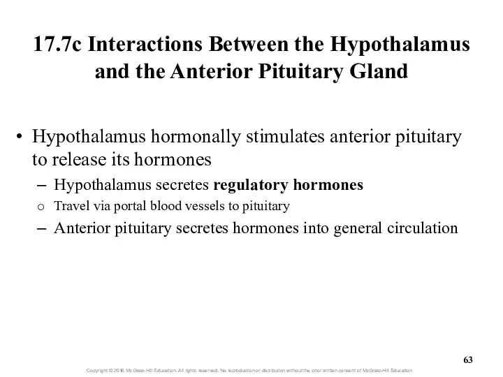 17.7c Interactions Between the Hypothalamus and the Anterior Pituitary Gland Hypothalamus