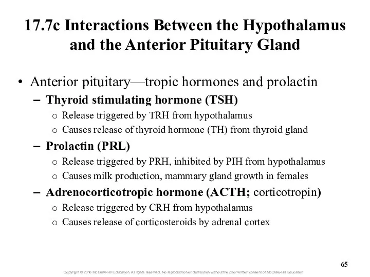 17.7c Interactions Between the Hypothalamus and the Anterior Pituitary Gland Anterior