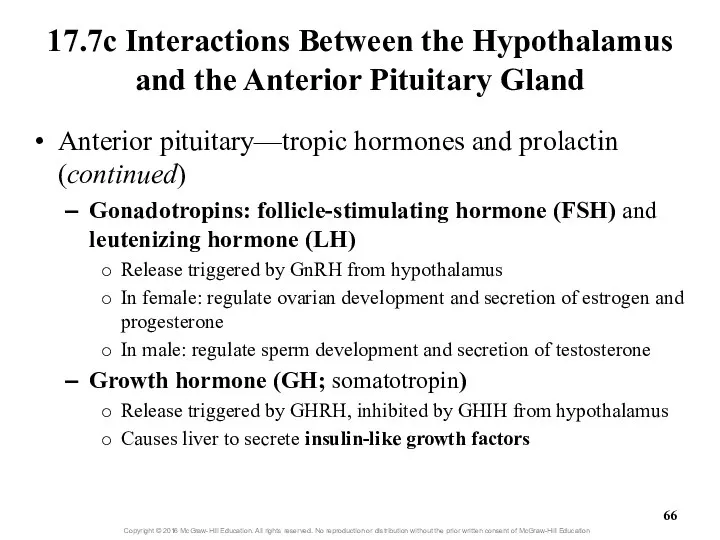 17.7c Interactions Between the Hypothalamus and the Anterior Pituitary Gland Anterior