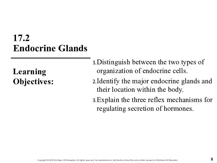 17.2 Endocrine Glands Distinguish between the two types of organization of