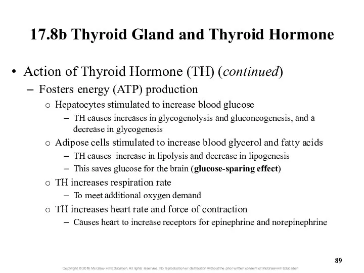 17.8b Thyroid Gland and Thyroid Hormone Action of Thyroid Hormone (TH)