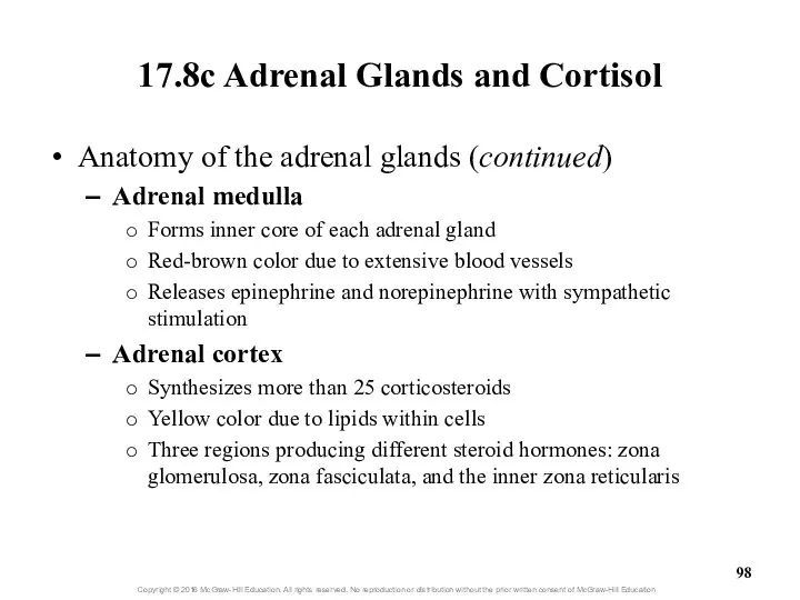 17.8c Adrenal Glands and Cortisol Anatomy of the adrenal glands (continued)