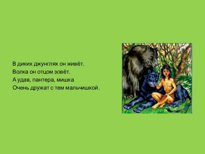 В диких джунглях он живёт. Волка он отцом зовёт. А удав,