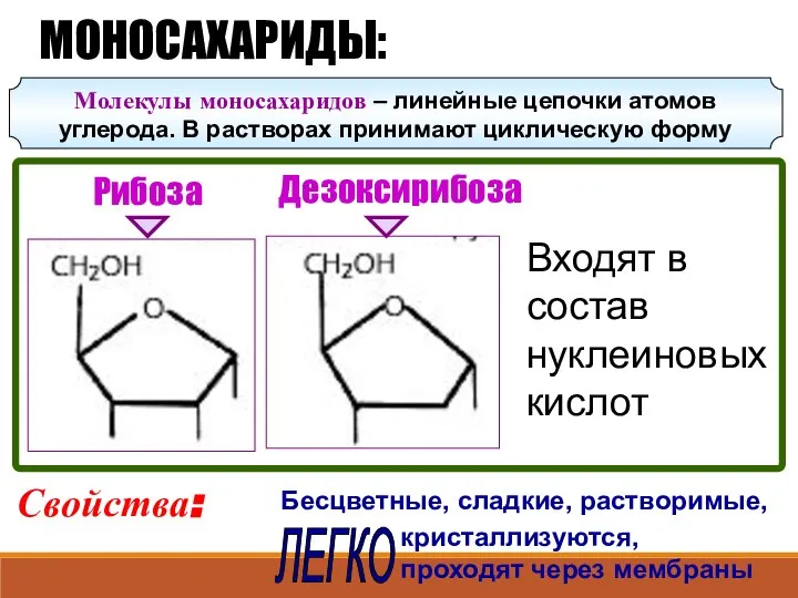 Рибоза Дезоксирибоза МОНОСАХАРИДЫ: Свойства: Бесцветные, сладкие, растворимые, кристаллизуются, проходят через мембраны