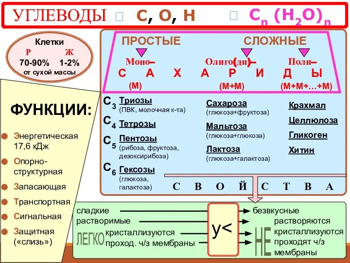 УГЛЕВОДЫ ? С, О, Н СЛОЖНЫЕ Моно– Олиго(ди)– Поли– С А