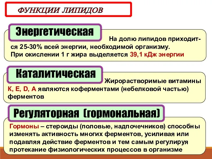 Энергетическая ФУНКЦИИ ЛИПИДОВ На долю липидов приходит-ся 25-30% всей энергии, необходимой