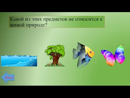 Какой из этих предметов не относится к живой природе? Назад