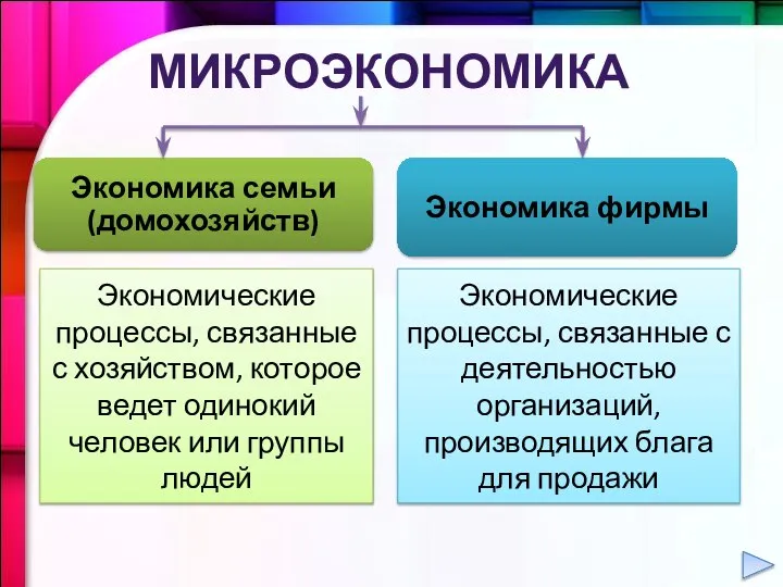 Экономические процессы, связанные с хозяйством, которое ведет одинокий человек или группы