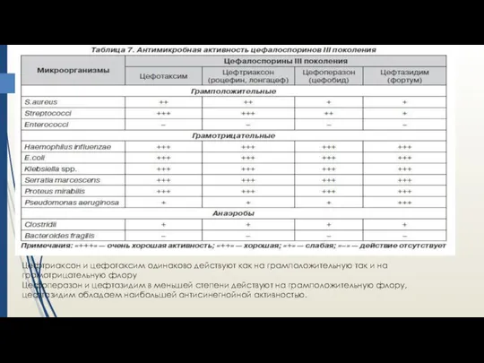 Цефтриаксон и цефотаксим одинаково действуют как на грамположительную так и на