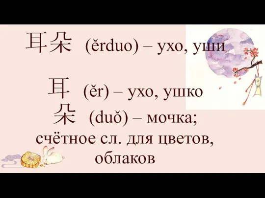 耳朵 (ěrduo) – ухо, уши 耳 (ěr) – ухо, ушко 朵