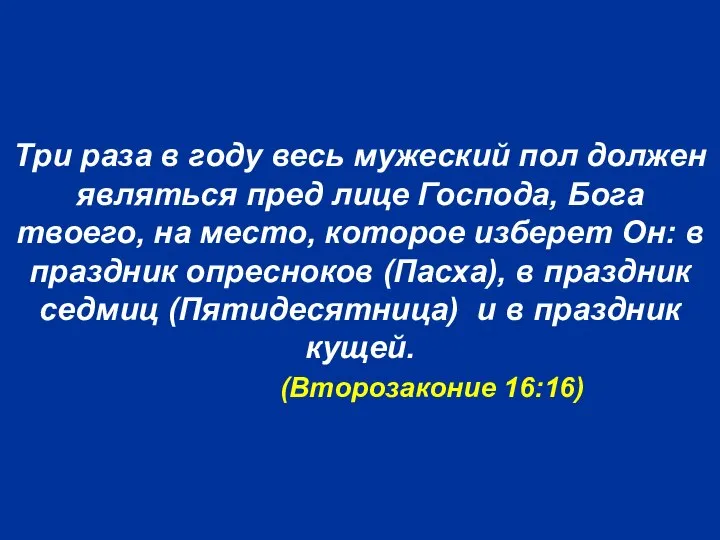 Три раза в году весь мужеский пол должен являться пред лице