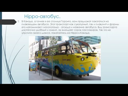 Hippo-автобус. В Канаде, а точнее в ее столице Торонто, вам предложат