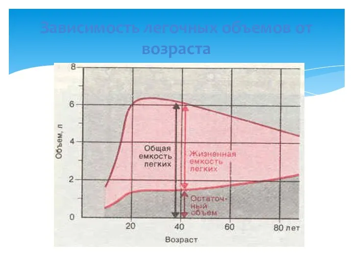 Зависимость легочных объемов от возраста