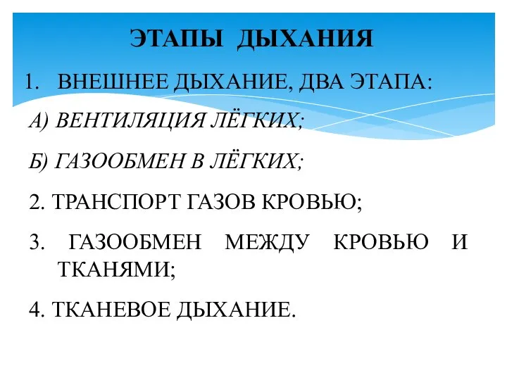 ЭТАПЫ ДЫХАНИЯ ВНЕШНЕЕ ДЫХАНИЕ, ДВА ЭТАПА: А) ВЕНТИЛЯЦИЯ ЛЁГКИХ; Б) ГАЗООБМЕН