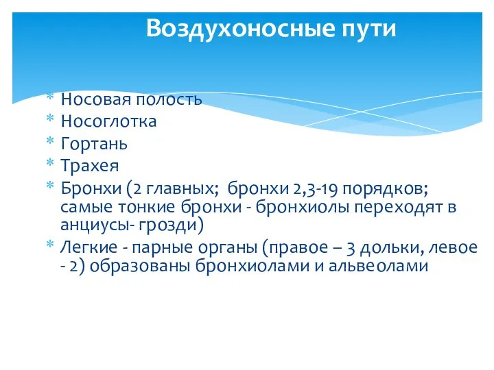 Воздухоносные пути Носовая полость Носоглотка Гортань Трахея Бронхи (2 главных; бронхи