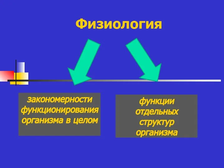 Физиология закономерности функционирования организма в целом функции отдельных структур организма