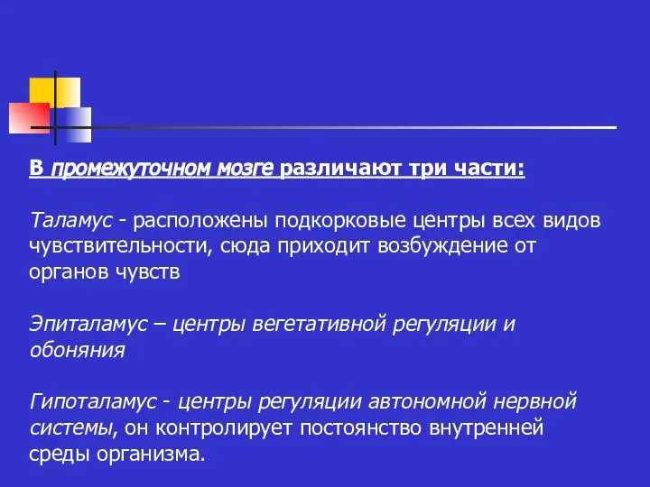 В промежуточном мозге различают три части: Таламус - расположены подкорковые центры