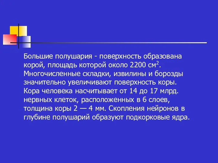 Большие полушария - поверхность образована корой, площадь которой около 2200 см2.