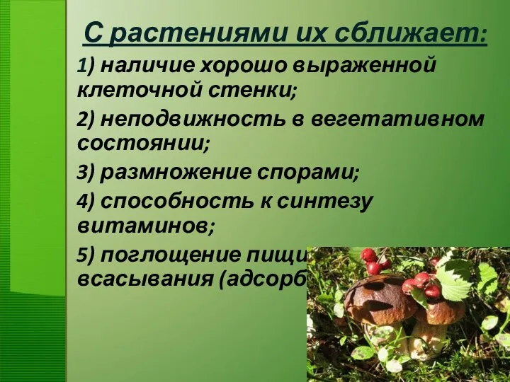 С растениями их сближает: 1) наличие хорошо выраженной клеточной стенки; 2)