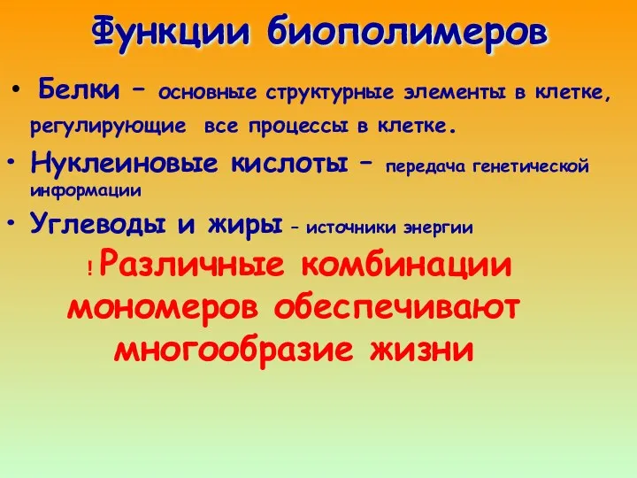 Функции биополимеров Белки – основные структурные элементы в клетке, регулирующие все