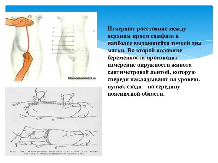 Измеряют расстояние между верхним краем симфиза и наиболее выдающейся точкой дна