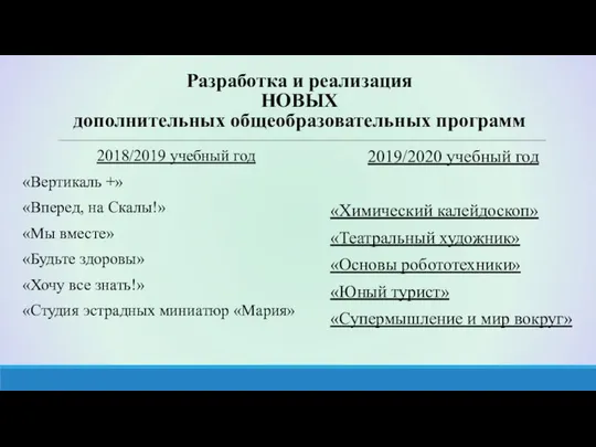 Разработка и реализация НОВЫХ дополнительных общеобразовательных программ 2018/2019 учебный год «Вертикаль