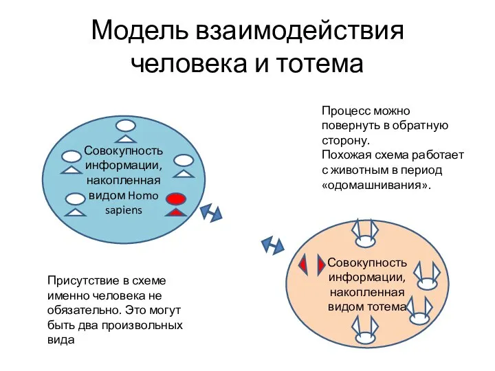 Совокупность информации, накопленная видом тотема Модель взаимодействия человека и тотема Совокупность