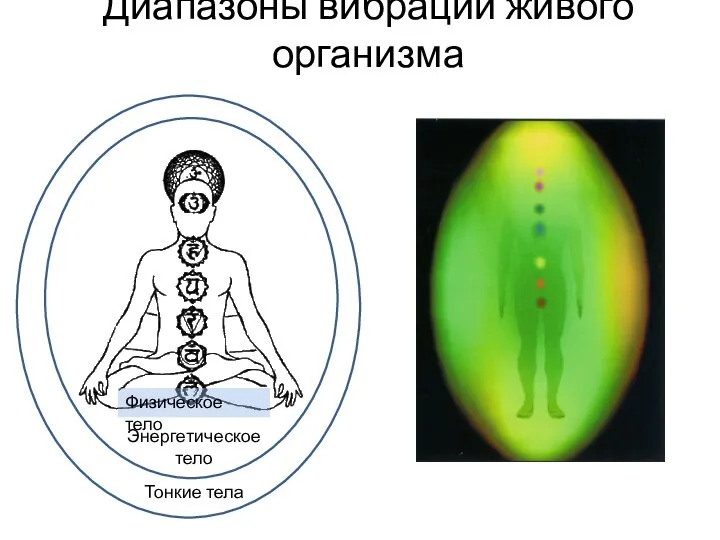 Физическое тело Энергетическое тело Тонкие тела Диапазоны вибрации живого организма