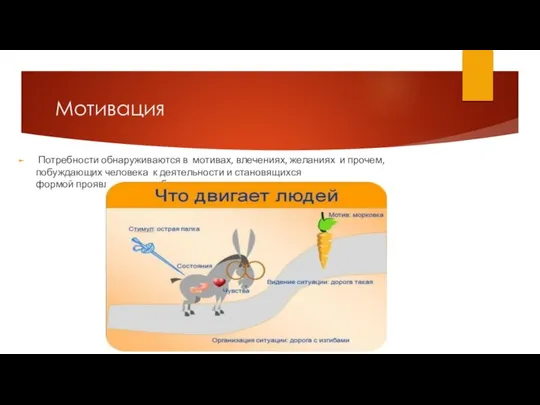 Мотивация Потребности обнаруживаются в мотивах, влечениях, желаниях и прочем, побуждающих человека