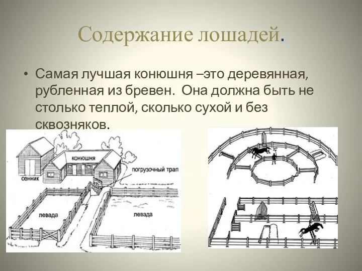 Содержание лошадей. Самая лучшая конюшня –это деревянная, рубленная из бревен. Она