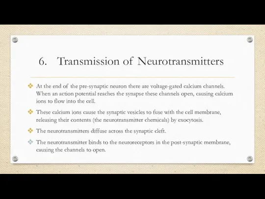 Transmission of Neurotransmitters At the end of the pre-synaptic neuron there