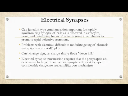 Electrical Synapses Gap junction-type communication important for rapidly synchronizing syncytia of