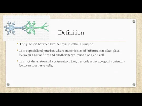 Definition The junction between two neurons is called a synapse. It
