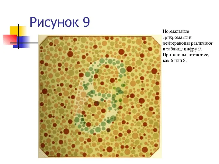 Рисунок 9 Нормальные трихроматы и дейтеранопы различают в таблице цифру 9.