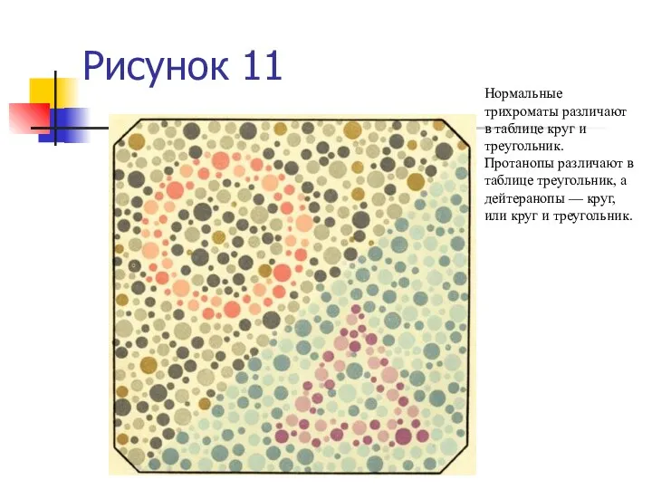 Рисунок 11 Нормальные трихроматы различают в таблице круг и треугольник. Протанопы