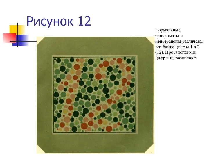 Рисунок 12 Нормальные трихроматы и дейтеранопы различают в таблице цифры 1