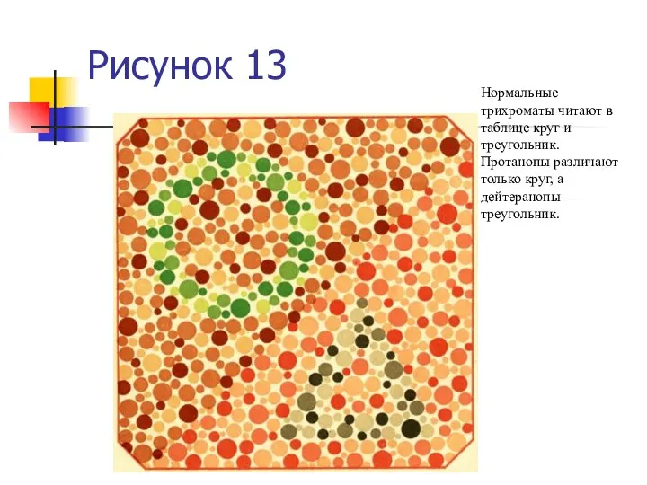 Рисунок 13 Нормальные трихроматы читают в таблице круг и треугольник. Протанопы