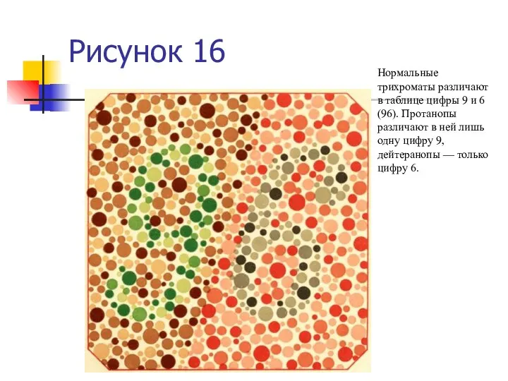 Рисунок 16 Нормальные трихроматы различают в таблице цифры 9 и 6