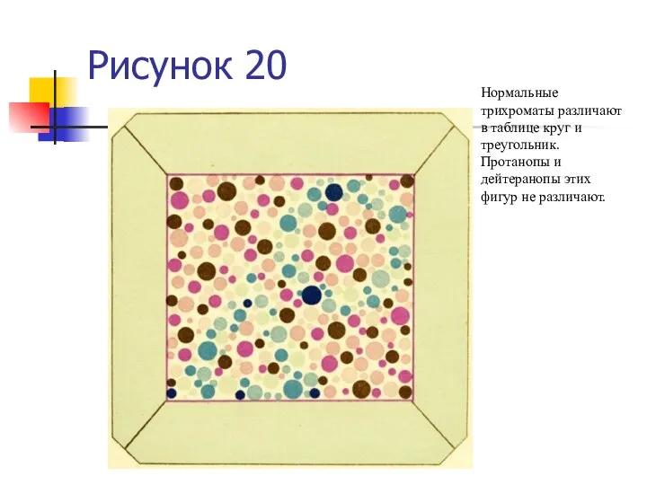 Рисунок 20 Нормальные трихроматы различают в таблице круг и треугольник. Протанопы