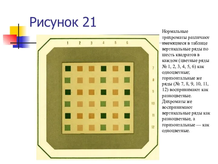 Рисунок 21 Нормальные трихроматы различают имеющиеся в таблице вертикальные ряды по