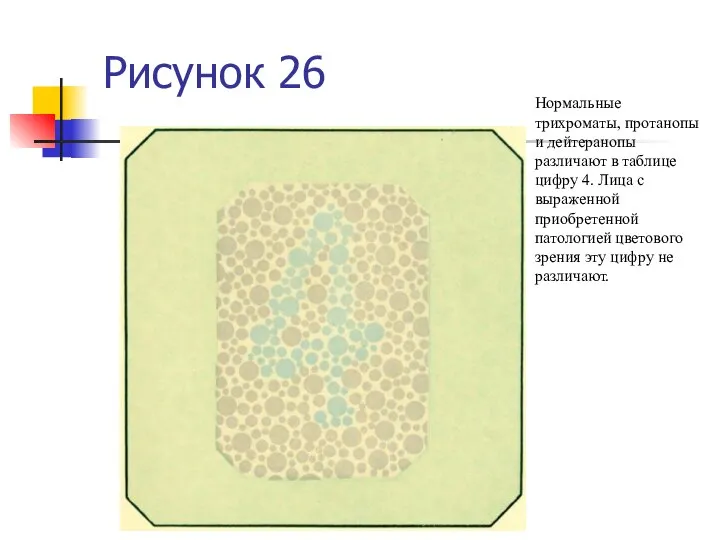 Рисунок 26 Нормальные трихроматы, протанопы и дейтеранопы различают в таблице цифру